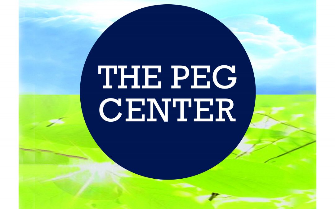 The PEG Center and the YWCA Racial Justice Initiatives